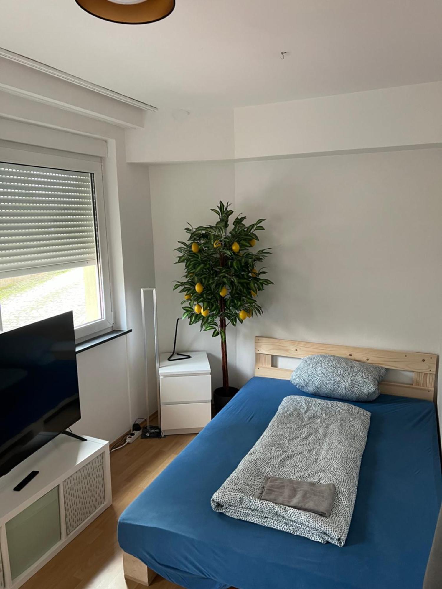 Naehe Residenz Und Innenstadt Homestay Wurzburg
