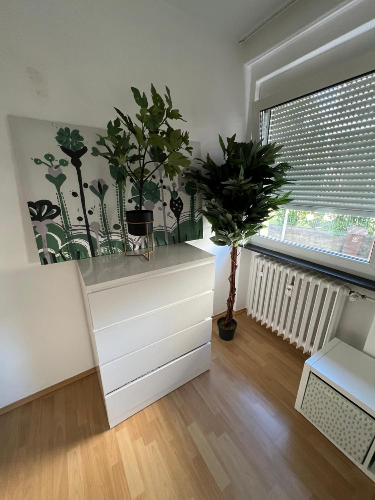 Homestay Naehe Residenz Und Innenstadt Wurzburg